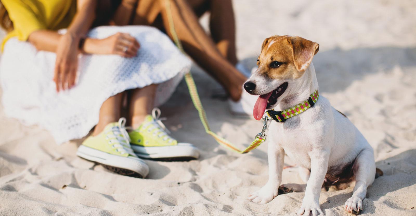 adria-hotel it pet-friendly 015